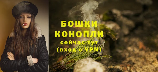 прущие грибы Абдулино