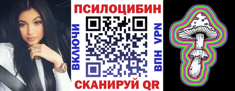 наркотики  Пудож  МЕГА ссылки  Псилоцибиновые грибы MAGIC MUSHROOMS 